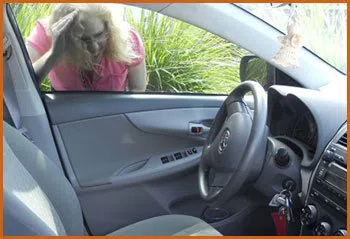 Village Locksmith Store Latonia, KY 859-538-5064 - 15-emergency-lockout